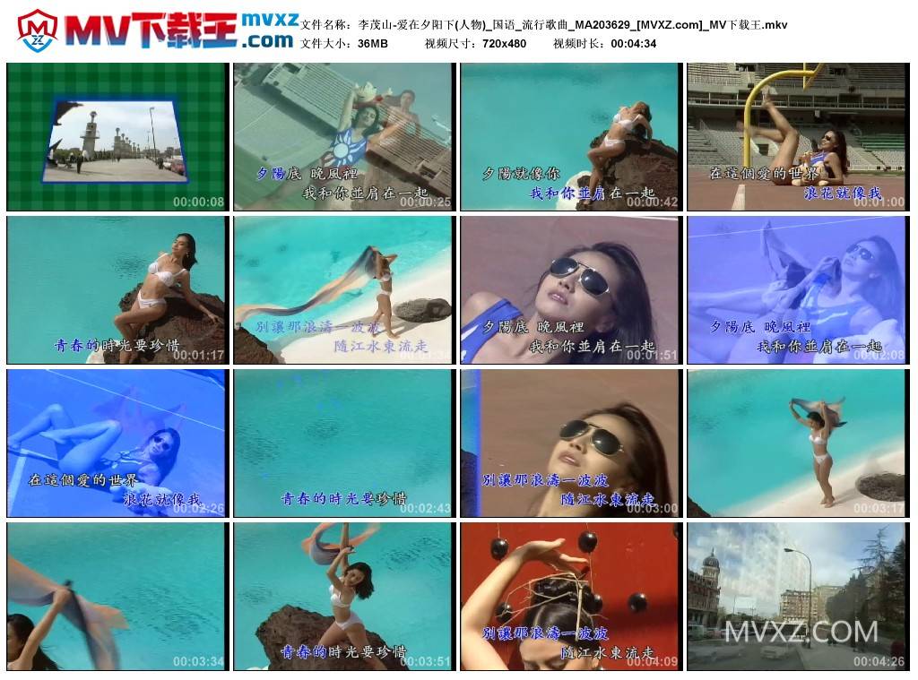 李茂山-爱在夕阳下(人物)_国语_流行歌曲_MA203629